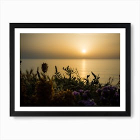 Serene Golden Sunset Over The Sea With The Wild Flowers Art Print