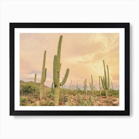 Warm Desert Cactus Sky Art Print