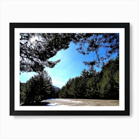 Pine Forest In Winter Art Print