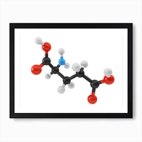 Amino Acid Glutamic Acid Art Print