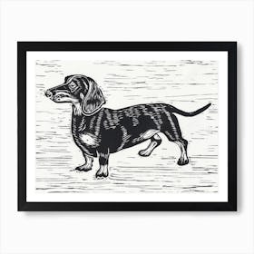 Dachshund Art Print