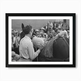 Silverton, Colorado, Labor Day Celebration, Contestant Tying Sacks Of Ore Onto A Burro In A Contest By Russe Art Print