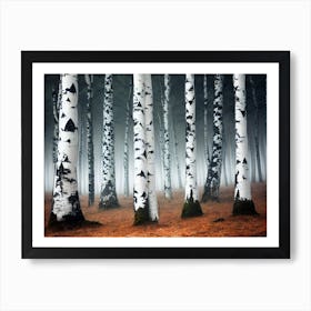 Birch Forest 116 Poster