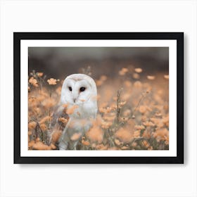 Barn Owl In Flower Field Art Print