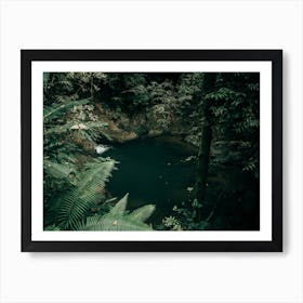 Hidden Jungle Pool Art Print