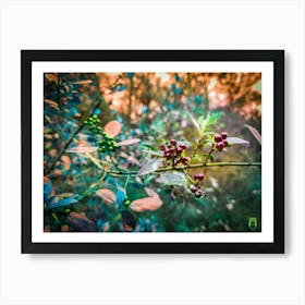 Berries In The Forest 202306031632162pub Art Print