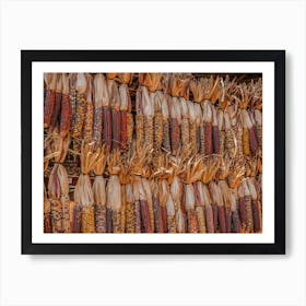 Dried Indian Corn Art Print