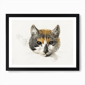 Head Of A Calico Cat With Open Eyes, Jean Bernard Art Print