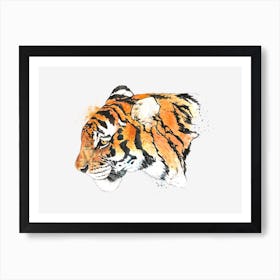 Tiger Art Print