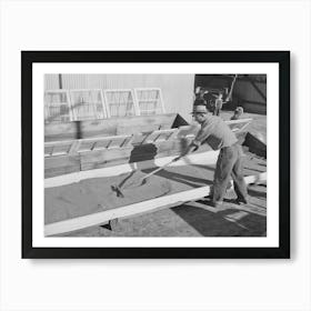 Salinas, California, Spreading Guayule Seed Out For Drying In The Nursery Of The Intercontinental Rubber Producers By Art Print