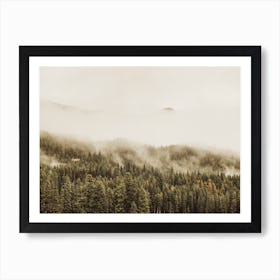 Fog Covered Forest Art Print