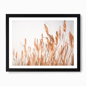 Marsh Grass No 4 Art Print