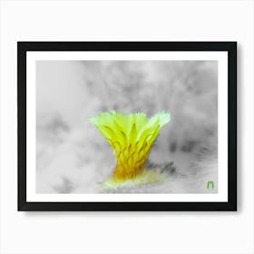 Cactus Flower 202306280810187pub Art Print