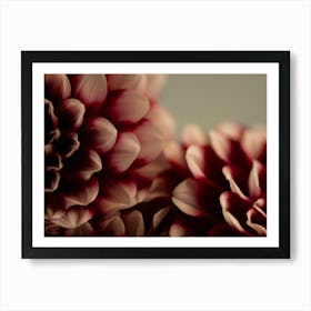 Moody and dark fall or winter dahlia's in red - botanical nature photography by Christa Stroo Photography Art Print