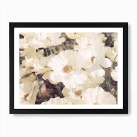 White Flower Bush Art Print