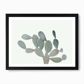 Modern Cactus Art Print