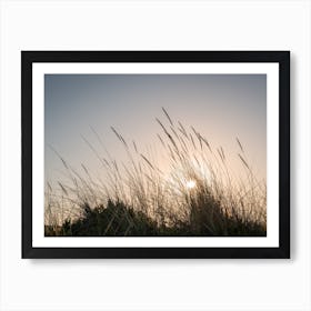 Beach Grass Art Print