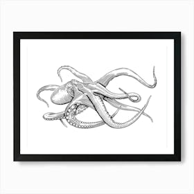 Octopus Illustration - Ocean Wildlife Art Print Art Print