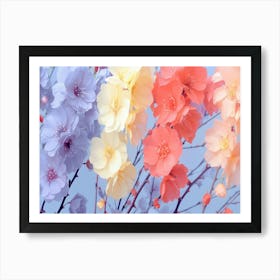 Cherry Blossoms 2 Art Print