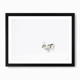 Arctic Tundra Caribou Art Print