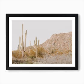 Sunset Desert Scenery Art Print