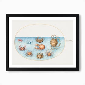 Nine Crabs, Joris Hoefnagel Art Print