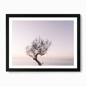 Lone Tree By The Sea While The Sun Goes Down Art Print