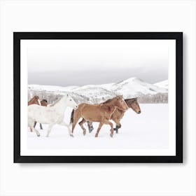 Horses In Snow Art Print