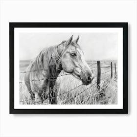 Horse By The Fence Art Print