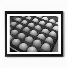 Sonoma Count, California, Eggs By Russell Lee Art Print