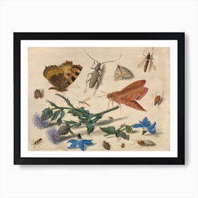 Butterflies, Moths And Insects With Sprays Of Creeping Thistle And Borage, Jan Van Kessel The Elder Art Print