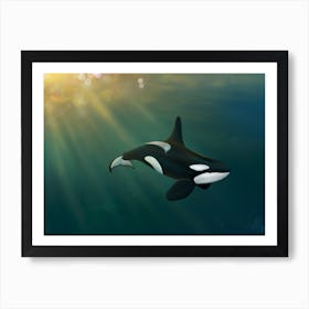 Orca underwater Art Print