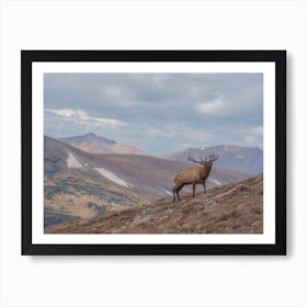 Mountainside Elk Art Print