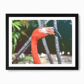 Pink Flamingo Head Art Print