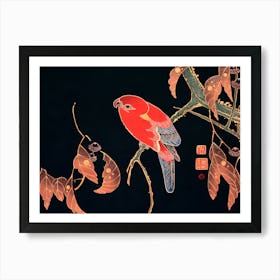 Chinese Parrot 1 Art Print
