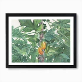 Papaya tree art Art Print