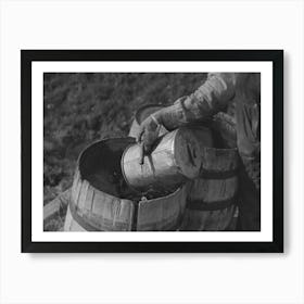 Filling Barrels With Spring Water To Be Used On His Farmstead, Herman Gerling,Wheelock, North Dakota By Russell Lee Art Print