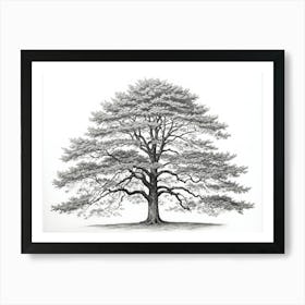 maple tree pencil sketch ultra detailed 3 Art Print