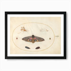 Two Moths, Two Chyrsalides, And Other Insects, Joris Hoefnagel Art Print