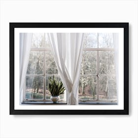 The Windows The White Curtans And The Green Art Print