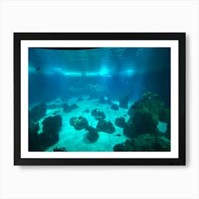 Underwater View Of An Aquarium Art Print