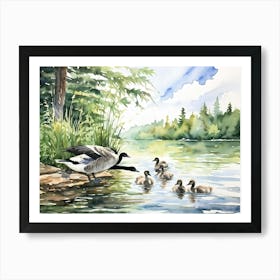 Canadian Geese 29 Art Print