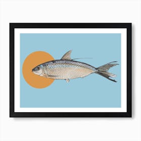 Curious Fish Art Print