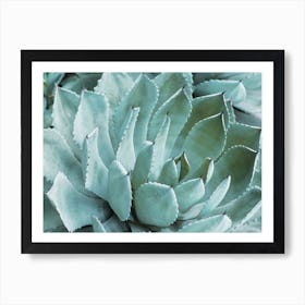 Blue Green Succulent Art Print