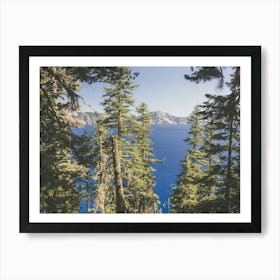 Crater Lake Forest Art Print
