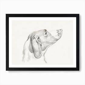 Head Of A Dog (1812), Jean Bernard Art Print