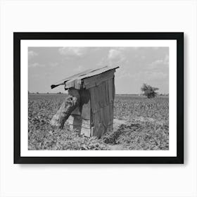 Privy Of Sharecropper, New Madrid County, Missouri By Russell Lee Art Print