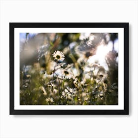 Flowers In Full Bloom Art Print