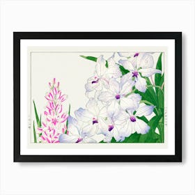 Orchids 1 Art Print