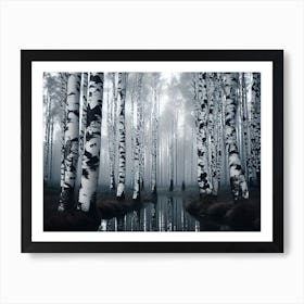 Birch Forest 100 Art Print